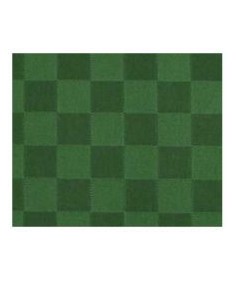 TOVAGLIETTE-RUNNER-SOTTOBICCHIERI: vendita online DAMINA TOVAGLIA 140X140 VERDE ANTIMACCHIA in offerta
