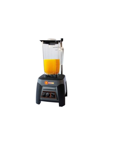 FRULLATORI-SBATTITORI: vendita online BLENDER PROFESSIONALE HEAVY DUTY ELITE LT.2 HORECATECH in offerta