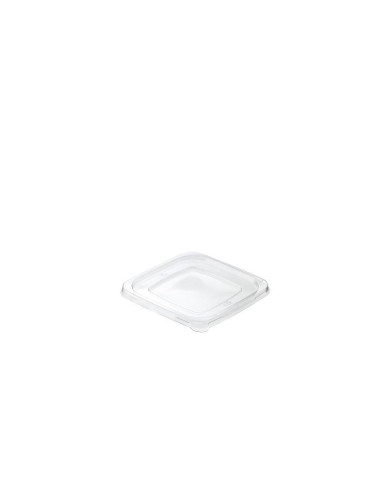 ACCESSORI: vendita online BIO CF 50 COPERCHIO TRASPARENTE PER CONTENITORE CM.18X18X0,5H in offerta