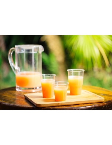 BICCHIERI BIO: vendita online CONFEZIONE 100 BICCHIERI ML.200 PER BEVANDE FREDDE LEONE in offerta