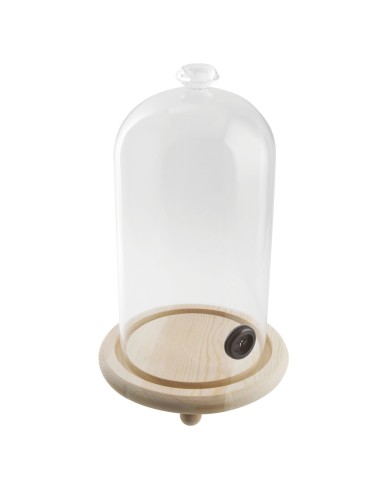 ACCESSORI: vendita online CLOCHE C/BASE LEGNO PER AFFUMICATURA CM.12XH.16 in offerta