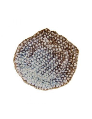 PIATTI: vendita online PIATTO PIANO CM.32X30 REEF MARINE TOGNANA in offerta