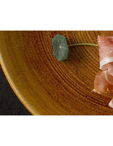 PIATTI: vendita online PIATTO FONDO CHURCHILL STONECAST PATINA VINTAGE CM.28,8 in offerta