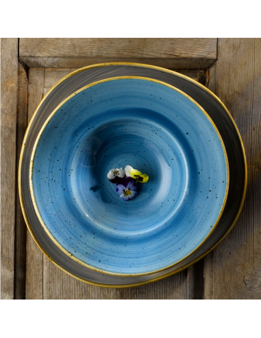 PIATTI: vendita online PIATTO FONDO TONDO PASTABOWL CHURCHILL STONECAST BLU PORCELLANA CM. 24 in offerta