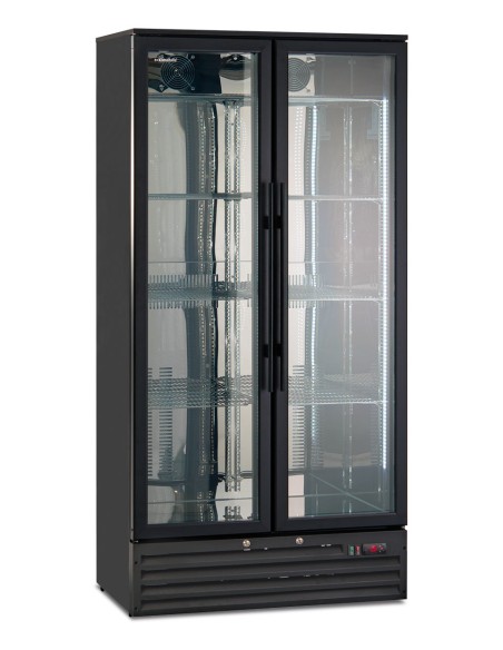CANTINETTE VINO: vendita online CANTINA VINO DOPPIA PORTA PER 200 BOTTIGLIE CLW 500 XH LT.384 KLIMITALIA in offerta