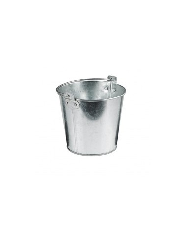 FINGER FOOD ACCIAIO: vendita online SECCHIELLO MINI IN LATTA 11X10CM IN COLORE ACCIAIO LEONE in offerta