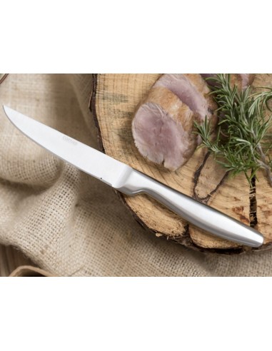 COLTELLI BISTECCA: vendita online COLTELLO DA BISTECCA SATIN COMAS LAMA LISCIA ACCIAIO INOX in offerta
