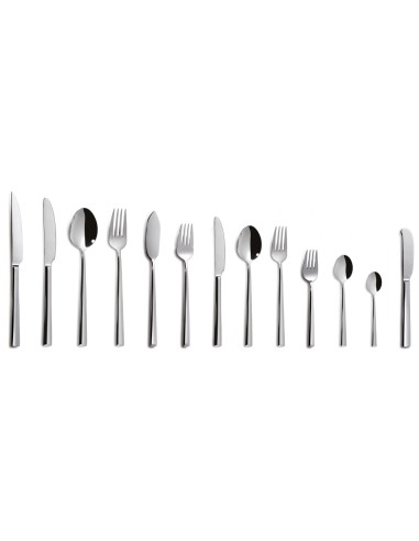 COLTELLI TAVOLA: vendita online COLTELLO DA TAVOLA LOTUS COMAS CONFEZIONE 12 PEZZI ACCIAIO INOX 18/10 in offerta