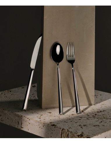 COLTELLI TAVOLA: vendita online COLTELLO DA TAVOLA LOTUS COMAS CONFEZIONE 12 PEZZI ACCIAIO INOX 18/10 in offerta