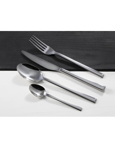 CUCCHIAI TAVOLA: vendita online CUCCHIAIO DA TAVOLA ABERT DINAMICA CONFEZIONE 12 PEZZI INOX 18/10 MM.3 in offerta