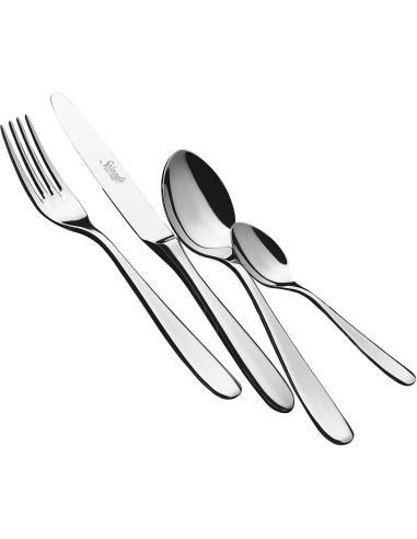 CUCCHIAINI CAFFE': vendita online CUCCHIAINO DA CAFFÈ SALVINELLI GRAND HOTEL CONF. 12 PEZZI INOX 18/10 in offerta