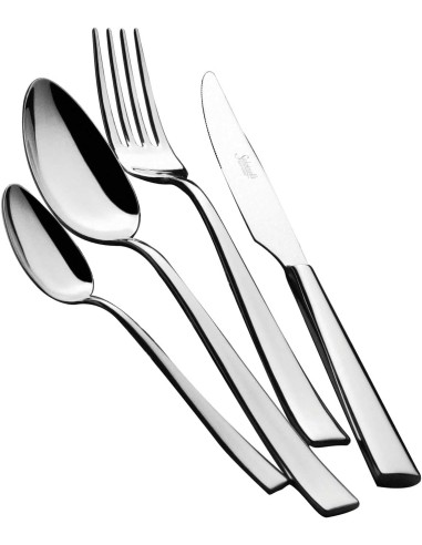 COLTELLI FRUTTA: vendita online COLTELLO DA FRUTTA FORGIATO SALVINELLI TIME CONFEZIONE 6 PEZZI INOX in offerta