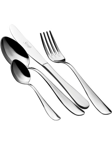 CUCCHIAI TAVOLA: vendita online CUCCHIAIO DA TAVOLA SALVINELLI TWIST CONF. 12 PEZZI ACCIAIO INOX 18/10 in offerta