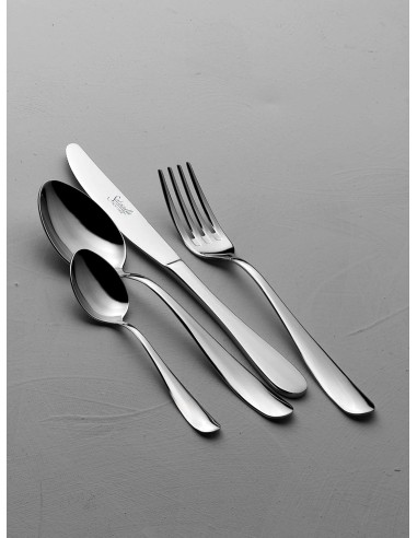 CUCCHIAI TAVOLA: vendita online CUCCHIAIO DA TAVOLA SALVINELLI TWIST CONF. 12 PEZZI ACCIAIO INOX 18/10 in offerta