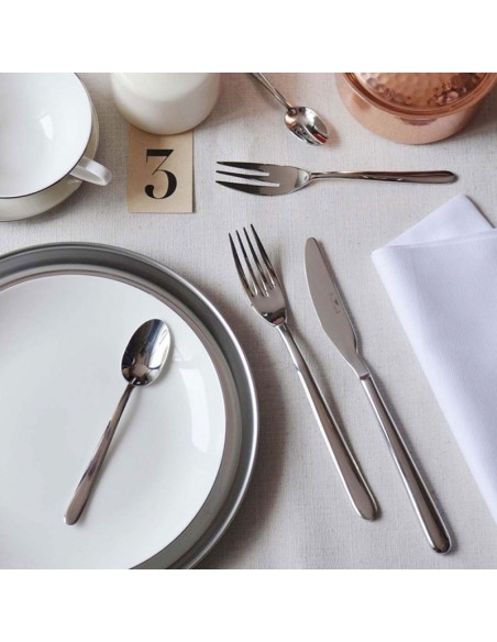 CUCCHIAI TAVOLA: vendita online CUCCHIAIO DA TAVOLA PINTINOX PRIVILEGE CONFEZIONE 12 PEZZI INOX 18/10 in offerta