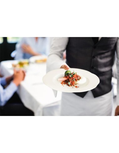 PIATTI: vendita online PIATTO PASTA HOTEL VERSAILLES CM.27 SELTMANN PORCELLANA PANNA DIAMANT in offerta