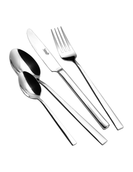 CUCCHIAI TAVOLA: vendita online CUCCHIAIO DA TAVOLA SALVINELLI ALASKA CONFEZIONE 6 PEZZI ACCIAIO INOX in offerta