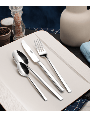 COLTELLI FRUTTA: vendita online COLTELLO DA FRUTTA FORGIATO SALVINELLI ALASKA CONF. 6 PEZZI INOX in offerta