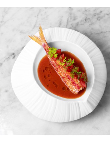 PIATTI: vendita online PIATTO GOURMET ORIGAMI ELEMENTI SUMISURA ROYALE BIANCO PORCELLANA in offerta