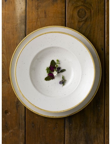 PIATTI: vendita online PIATTO FONDO TONDO PASTABOWL BIANCO CHURCHILL STONECAST WHITE PORCELLANA 24 CM in offerta