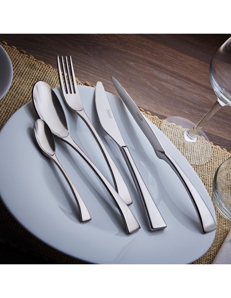 FORCHETTE TAVOLA: vendita online FORCHETTA TAVOLA OCEANIA FORGIATA INOX 18/10 CONFEZIONE 12 PEZZI SALVINELLI in offerta
