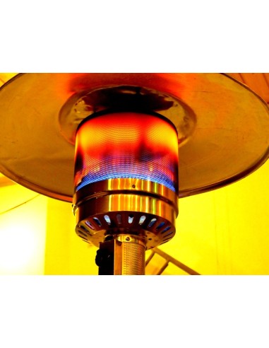 STUFE E RISCALDATORI: vendita online STUFA A FUNGO SUNNY SAL.MAR. A GAS CON RUOTE GRIGIA S45-03 in offerta