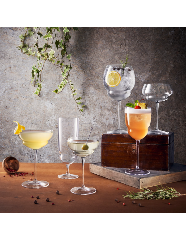 CALICI: vendita online CALICE DA GIN TONIC BACKDOOR '20S BORMIOLI LUIGI 80 CL in offerta