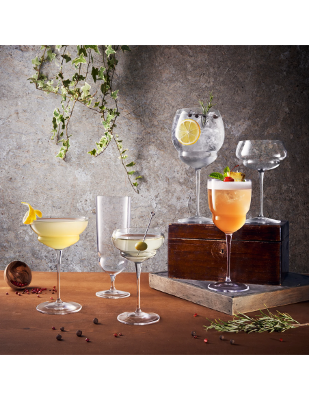 CALICI: vendita online CALICE DA GIN TONIC BACKDOOR '20S BORMIOLI LUIGI 80 CL in offerta