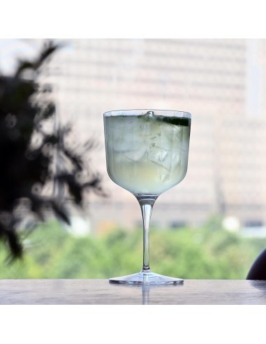 CALICI: vendita online CALICE DA GIN TONIC BACH BORMIOLI LUIGI 60 CL in offerta