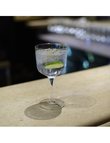 CALICI: vendita online CALICE DA GIN TONIC BACH BORMIOLI LUIGI 60 CL in offerta