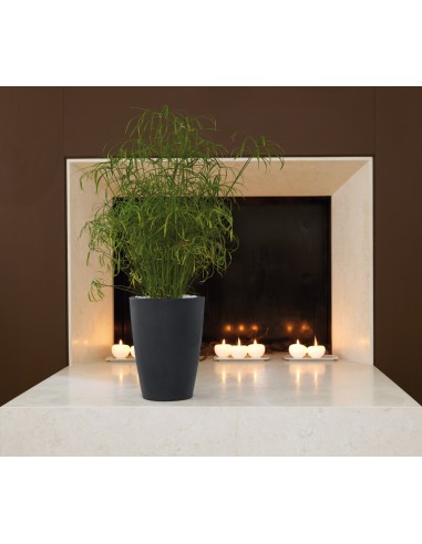 VASI-FIORIERE: vendita online VASO CONICO Ø43 H 90CM TALOS ANTRACITE NICOLI in offerta