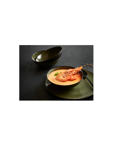 PIATTI: vendita online PIATTO COUPE CM.21 PORCELLANA VERDE AMBITIOUS COSTAVERDE in offerta