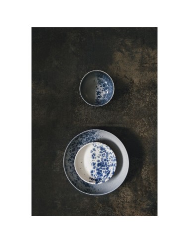 PIATTI: vendita online PIATTO FONDO CM.18 PHOBOS BIANCO PUNTINI BLU IN PORCELLANA LE COQ in offerta