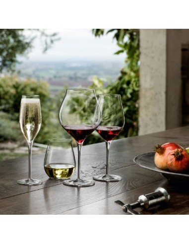 BICCHIERI: vendita online BICCHIERE TREBBIANO 43CL IN VETRO VINEA BORMIOLI LUIGI in offerta