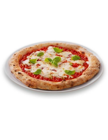 PIATTI PIZZA: vendita online PIATTO PIZZA 33,5CM GRANGUSTO BORMIOLI ROCCO in offerta