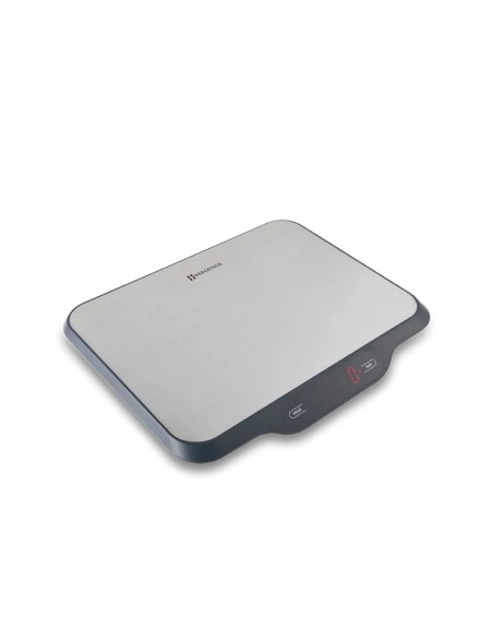 BILANCE: vendita online BILANCIA CUCINA CM.31X25 PORTATA KG.15 DIVISIONE GR.1 in offerta