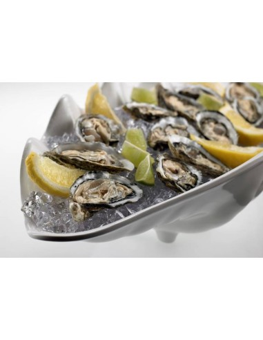 VASSOI-TAGLIERI: vendita online VASSOIO CONCHIGLIA IN MELAMINA 55x28x17CM LE PERLE LEONE in offerta