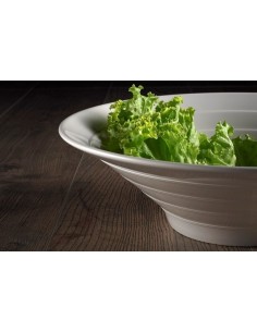 INSALATIERE-CIOTOLE-COPPETTE: vendita online LE PERLE INSALATIERA MELAMINA in offerta 2