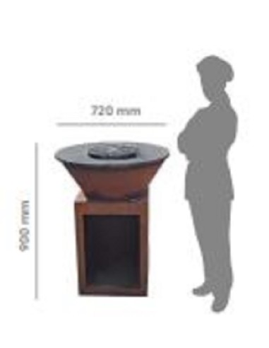 BARBECUE: vendita online BBQ IGNIS CON DISCO IN GHISA CON CASSETTO RACCOGLI CENERI MM.720X900H COMAS in offerta
