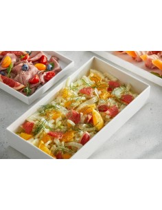 VASSOI-TAGLIERI: vendita online VASSOIO GASTRONORM BIANCO LUCIDO VENEZIA GN2 /4 CM.53X16,2X6 IN MELAMINA LEONE in offerta 2