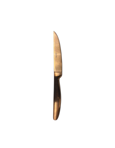 COLTELLI BISTECCA: vendita online COLTELLO DA BISTECCA PROFESSIONALE BRONZO FILO RASOIO SG POSATERIE in offerta