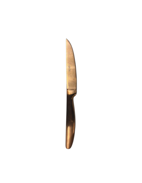 COLTELLI BISTECCA: vendita online COLTELLO DA BISTECCA PROFESSIONALE BRONZO FILO RASOIO SG POSATERIE in offerta