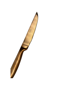 COLTELLI BISTECCA: vendita online COLTELLO DA BISTECCA PROFESSIONALE BRONZO FILO RASOIO SG POSATERIE in offerta 2