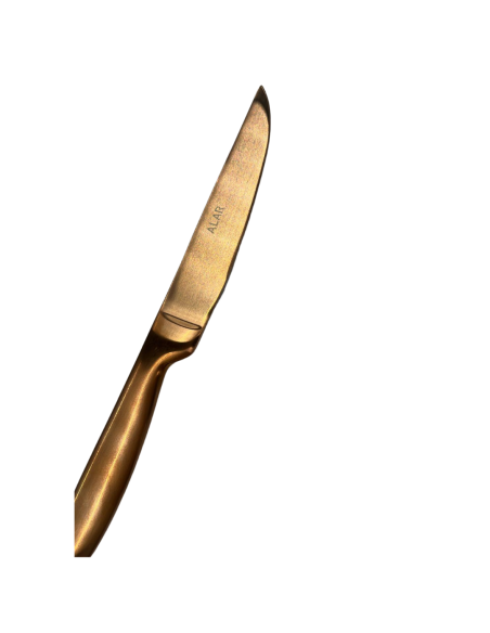 COLTELLI BISTECCA: vendita online COLTELLO DA BISTECCA PROFESSIONALE BRONZO FILO RASOIO SG POSATERIE in offerta