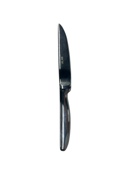 COLTELLI BISTECCA: vendita online COLTELLO DA BISTECCA PROFESSIONALE SILVER FILO RASOIO SG POSATERIE in offerta