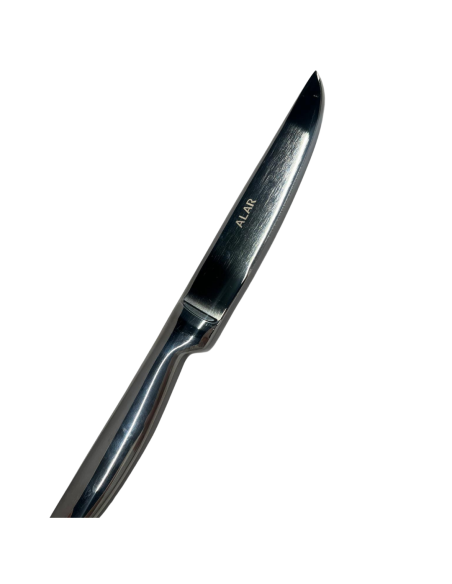 COLTELLI BISTECCA: vendita online COLTELLO DA BISTECCA PROFESSIONALE SILVER FILO RASOIO SG POSATERIE in offerta