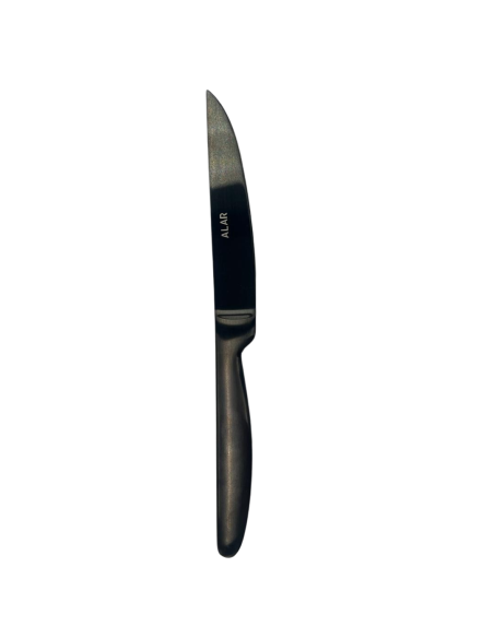 COLTELLI BISTECCA: vendita online COLTELLO DA BISTECCA PROFESSIONALE NERO FILO RASOIO SG POSATERIE in offerta