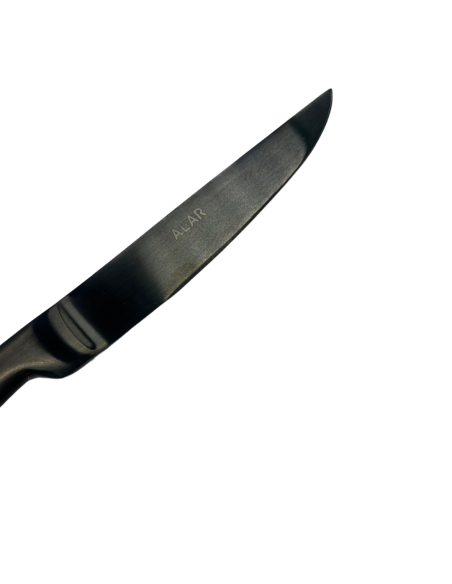 COLTELLI BISTECCA: vendita online COLTELLO DA BISTECCA PROFESSIONALE NERO FILO RASOIO SG POSATERIE in offerta