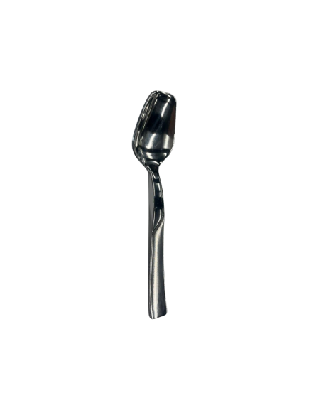 CUCCHIAI FRUTTA: vendita online CUCCHIAIO GELATO MONACO IN ACCIAIO INOX CONFEZIONE 6 PEZZI SG POSATERIE in offerta