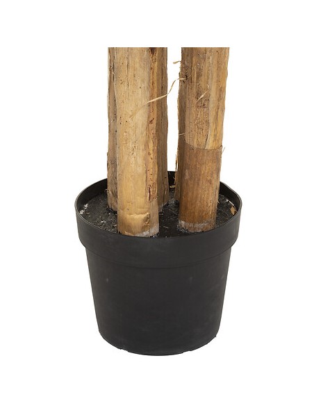 COMPLEMENTI D'ARREDO: vendita online PIANTA BANANO GIGANTE CON VASO CM.285 in offerta